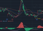 MACD指标解析：如何通过DIFF和DEA线捕捉市场趋势