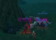 魔兽世界游学探奇隐藏练级玩法，大小号都适用