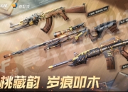 穿越火线胡桃藏韵抽奖活动爆料：全新典雅胡桃系列皮肤登场