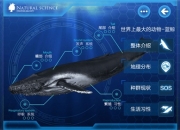 企鹅童话儿童数字平台 获千万级 Pre-A轮融资