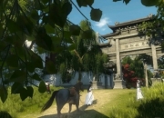 妹子在逆水寒里建了座大理城！8万株鲜花绝美，有玩家想租来求婚