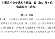 中国武术协会19种道家境界划分标准
