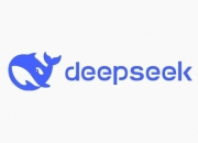 deepseek本地部署和网页版区别：更隐私更安全