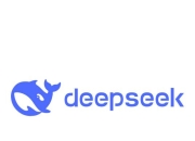 deepseek本地部署有什么用：保护隐私