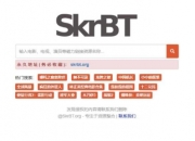 skrbt引擎连接入口：提供优质搜索体验