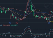 RSI指标揭秘：如何利用70和30的临界点捕捉买卖信号