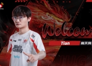 Tian在TES真的尽力吗？墙倒众人推