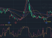 威廉指标突破80？别急，还需这些指标验证！