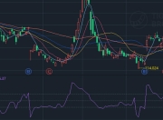 动量指标MTM揭秘：如何通过价格变化速率捕捉买入信号
