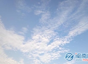 《去你的岛》经典语录句子 《去你的岛》小说台词对白